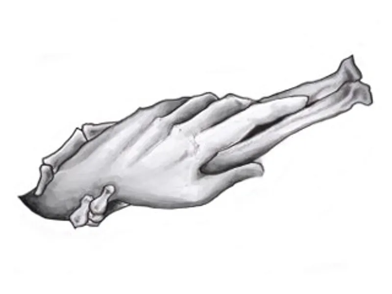 Pencil drawing of a hand holding a hand.