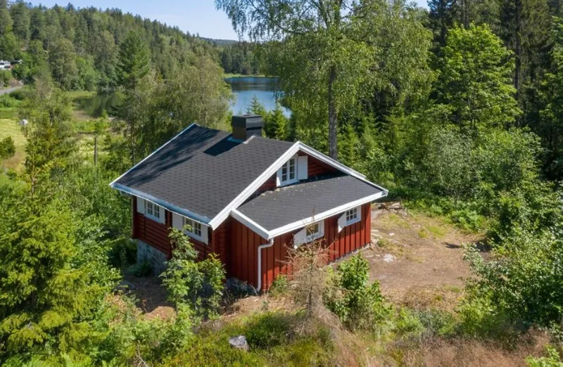 Cabin in the woods