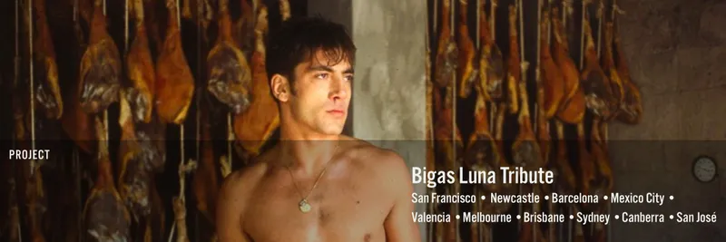 The Films of Bigas Luna