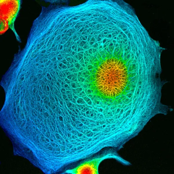 BSI Cell