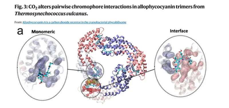 Allophcocyanin Test 1