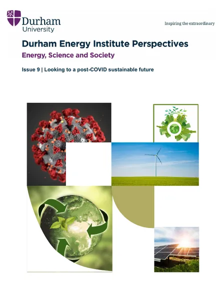 DEI Perspectives cover image DEI Perspectives Looking to Post covid climate future