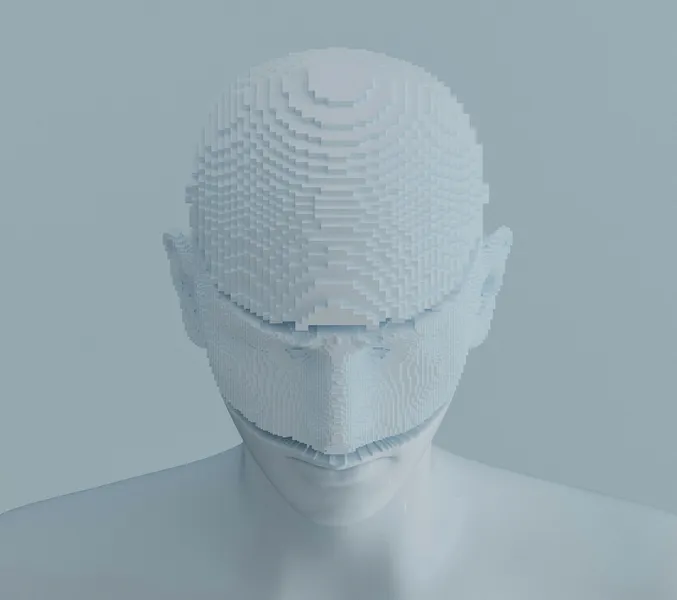 A human head. The upper half is made of small white blocks, the lower half is human.
