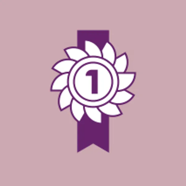 Purple rosette