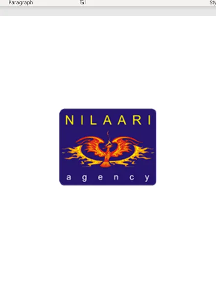 Nilaari logo on white background