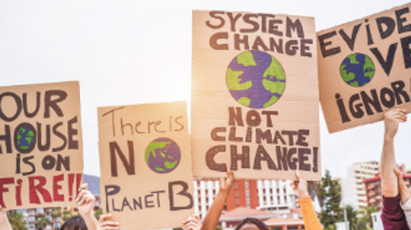 Climate change protest signs