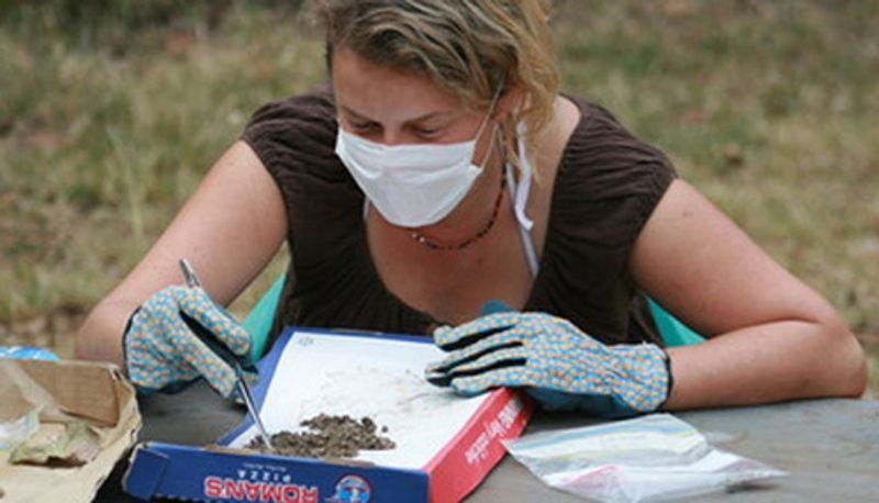 a student wearing a mask studying samples