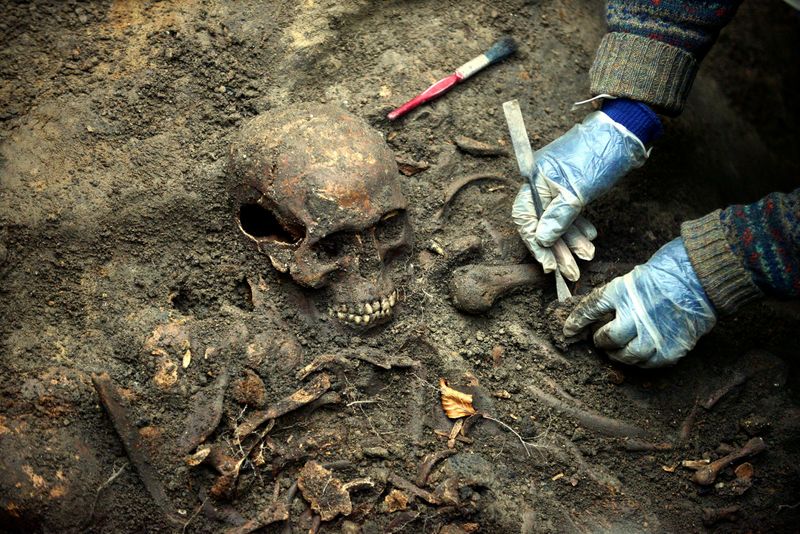The excavation of two mass graves at Palace Green had recovered the remains of several people