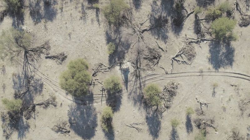 Aerial view of a dusty plain with animal and vehicle tracks