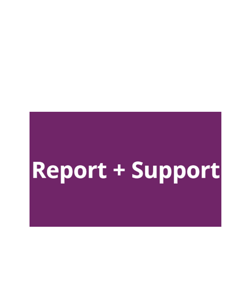 Report and Support logo on white background