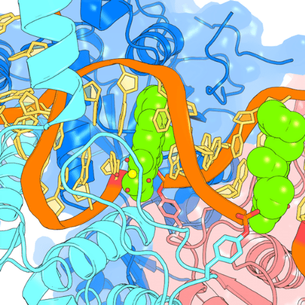 Artwork showing biomolecular structures