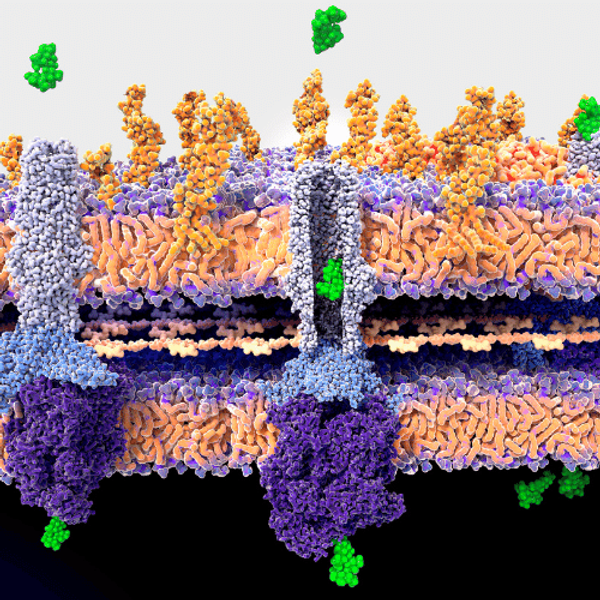 A digital illustration of antibacterial resistance