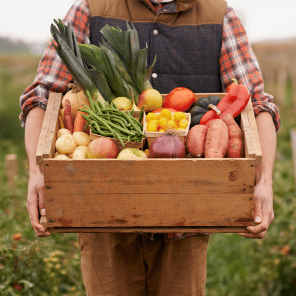 A man holding a box of vegetables standing in a field