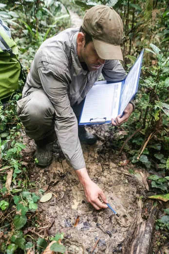Researcher examining a leopard footprint