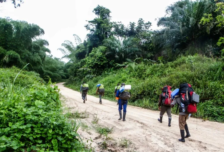 The research team walking to their research site