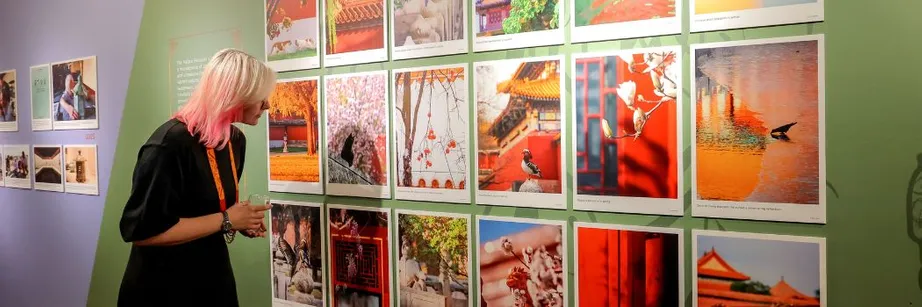 A person looking at a display of photographs