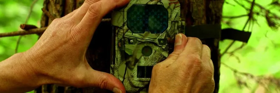 A camera trap is fitted to a tree.