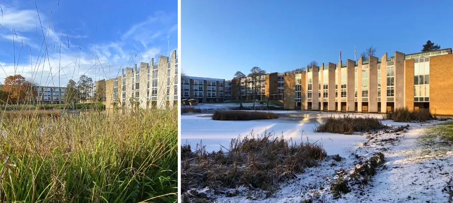 Collage of Van Mildert College Grounds - Spring and winter