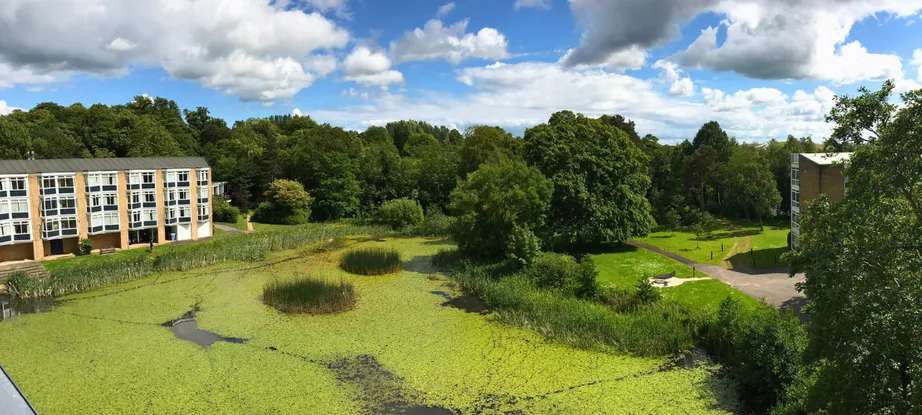 Van Mildert College Grounds - birds eye view