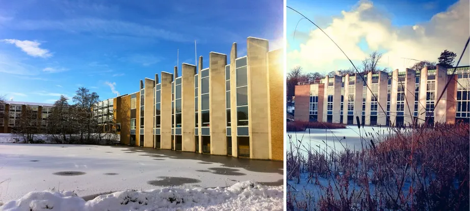 Collage of Van Mildert College Grounds - Winter
