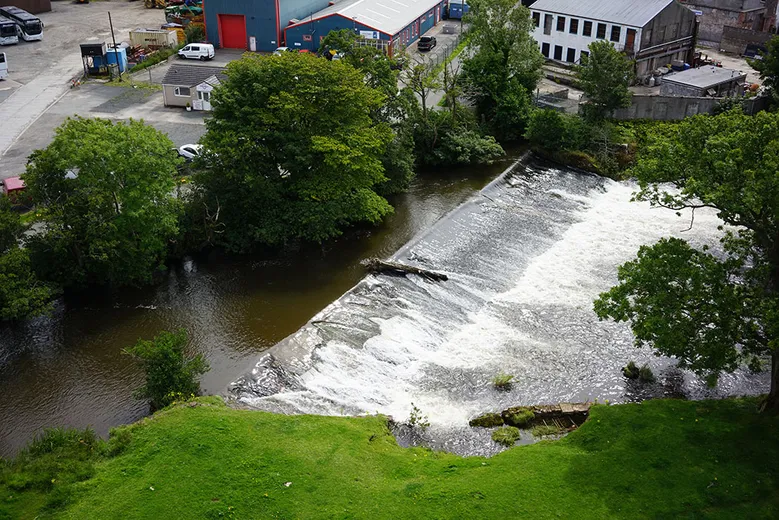 Overview of a stretch of river with a weir and tree trunk surrounded by trees and industrial buildings in the background