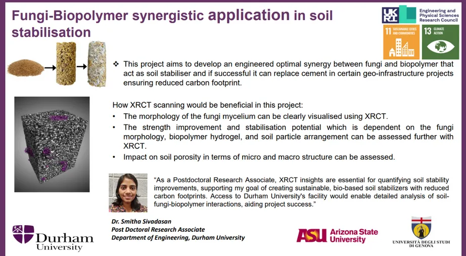 Fungi-Biopolymer synergistic application in soil stabilisation