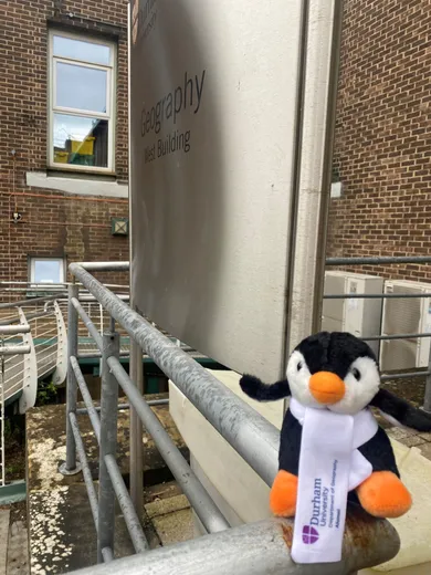 Toy penguin outside dept