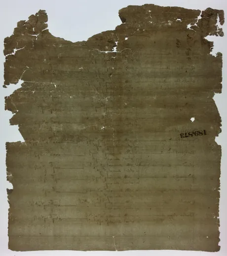 Paper document during conservation