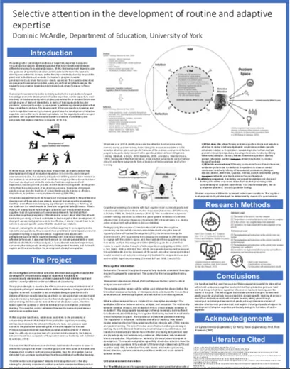 Selective attention in the development of routine and adaptive expertise Poster