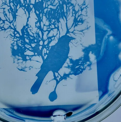 Art-Science 2025 Submission