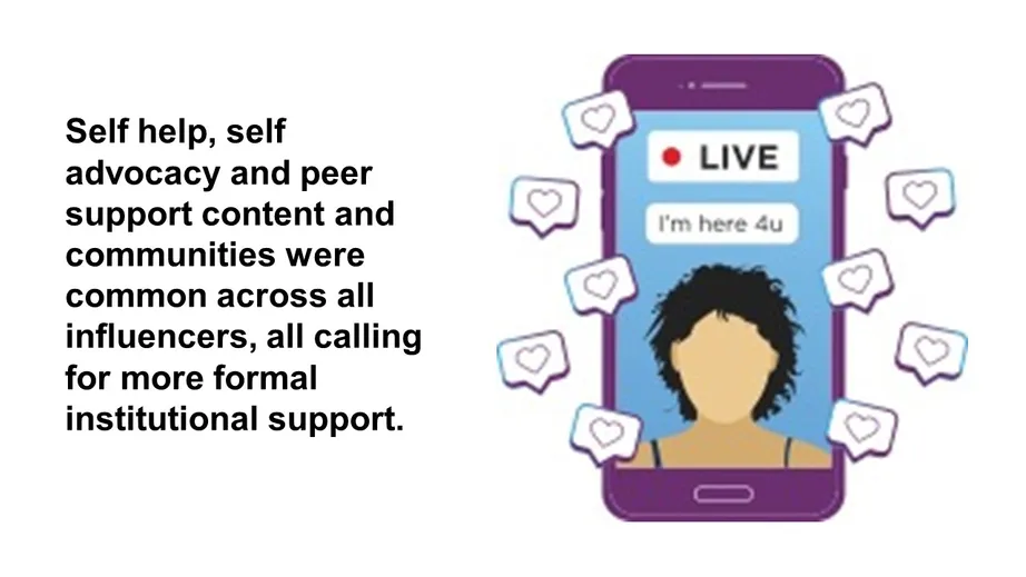 Infographic of the project