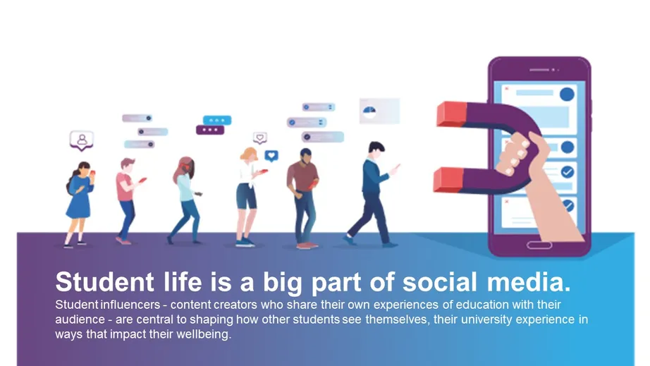 Infographic of the project