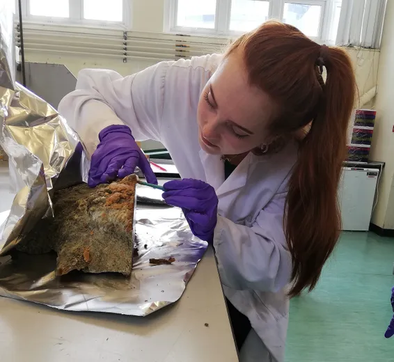 ANTSIE researcher Yas Cole sub-sampling snow petrel stomach-oil deposit. Credit: Erin McClymont