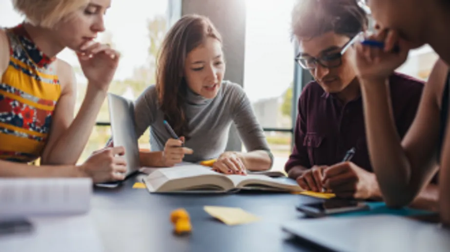A mixed group of students studying with books