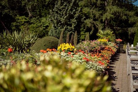 Botanic Garden Flower beds