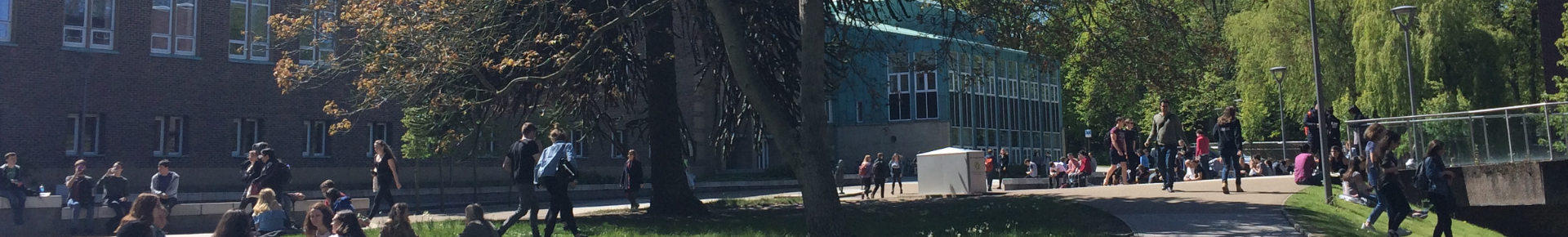 Large group of students on campus