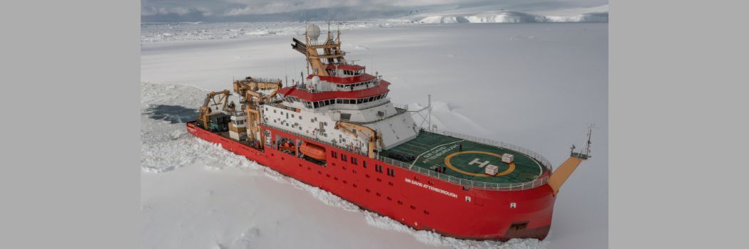 The RSS Sir David Attenborough, a ship with a red hull and white bridge, surrounded by white sea ice.