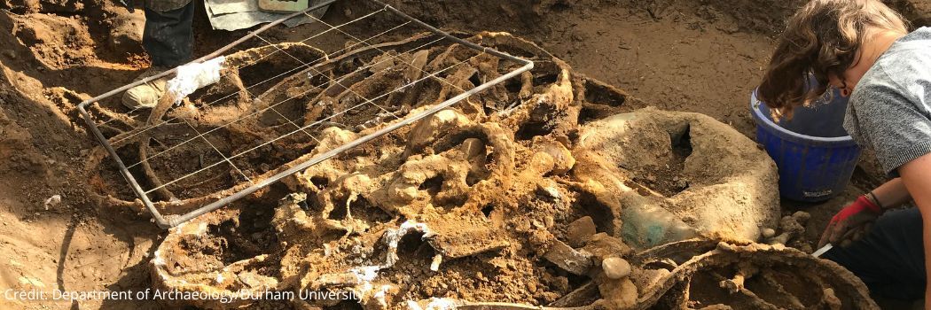 A trench in the ground showing tangled metalwork surrounded by soil.