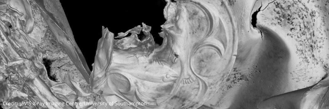 A CT scan image of the cauldron showing a fish motif in the metalwork.