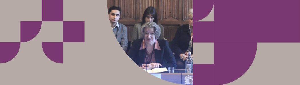 Professor Karen O'Brien speaking during Select Committee hearing