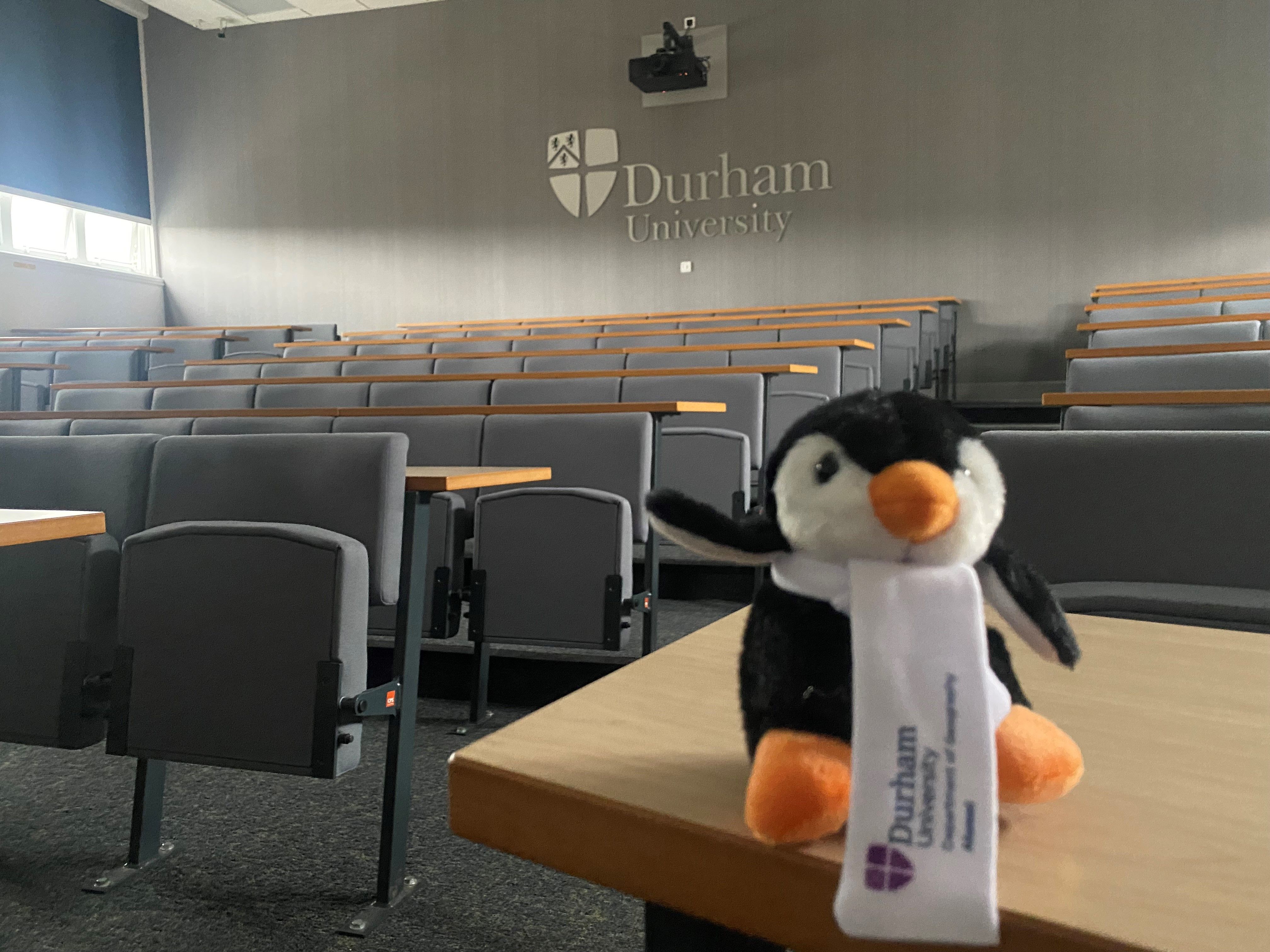 Toy penguin in lecture theatre
