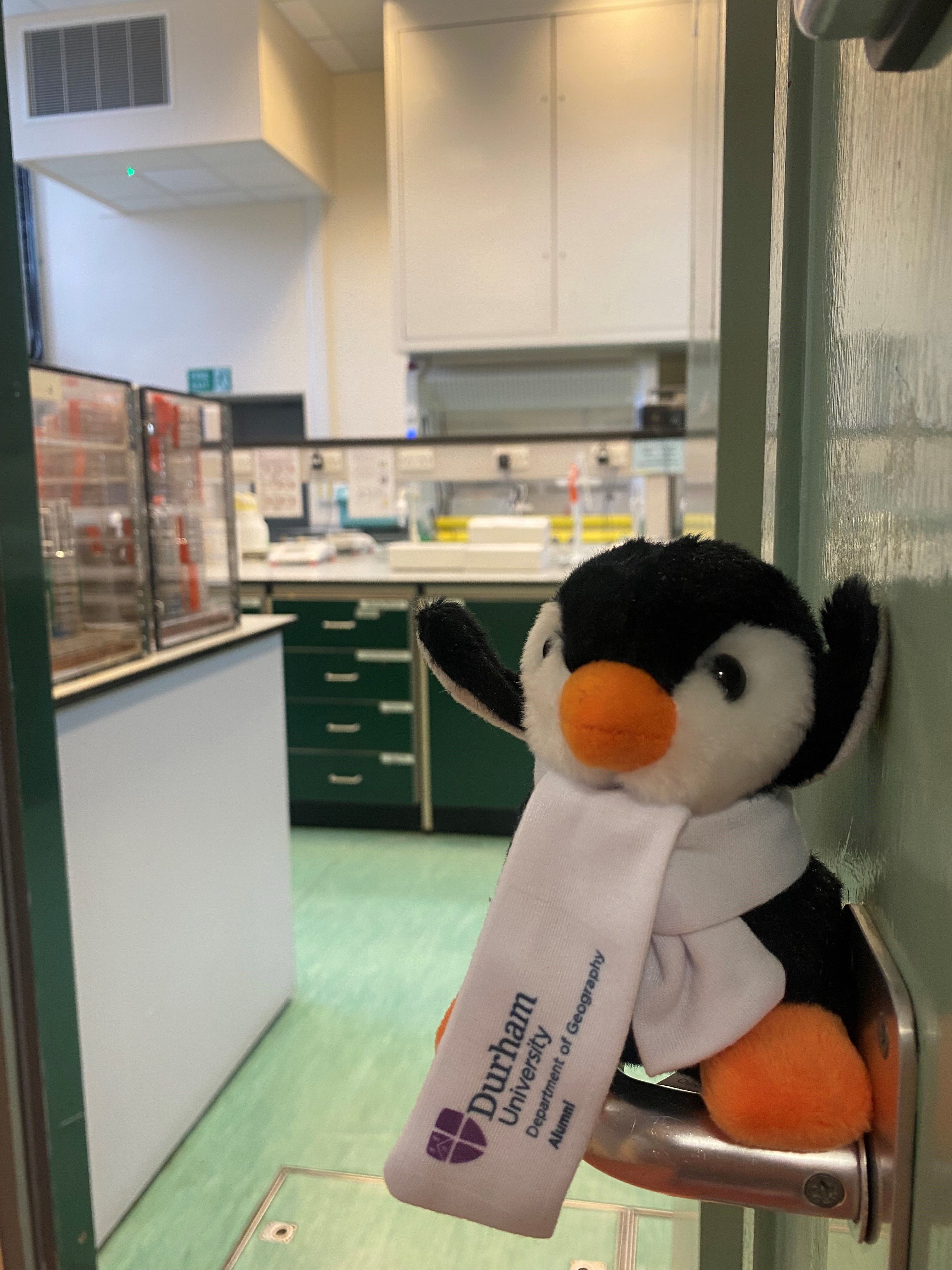 Toy penguin in labs