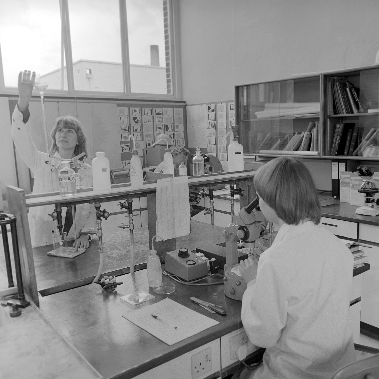 1981 laboratory