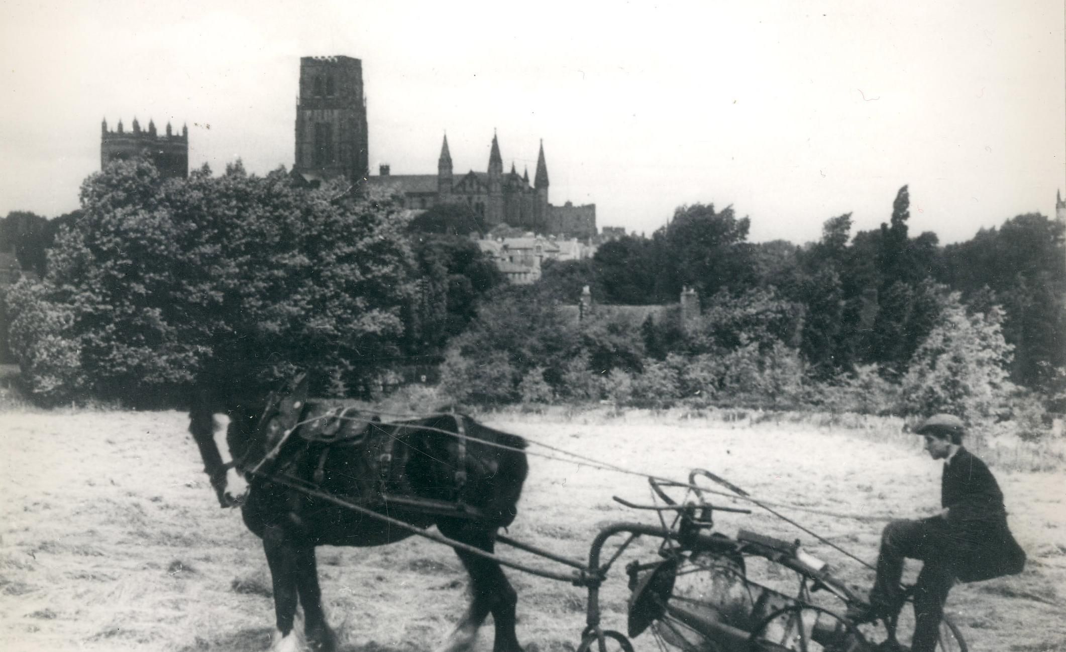 Man ploughs fields with the Cathedral in the background