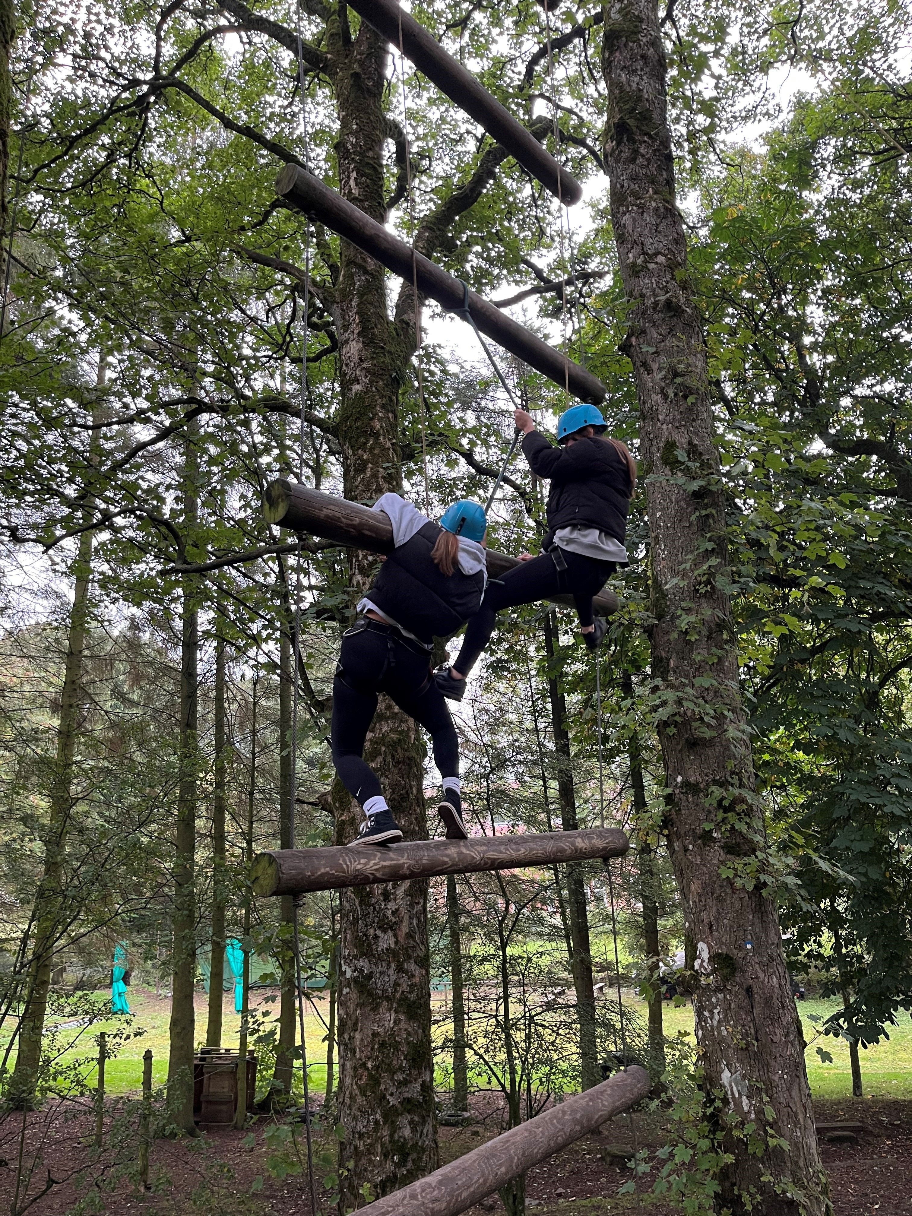 Students participating in high ropes activity in a tree