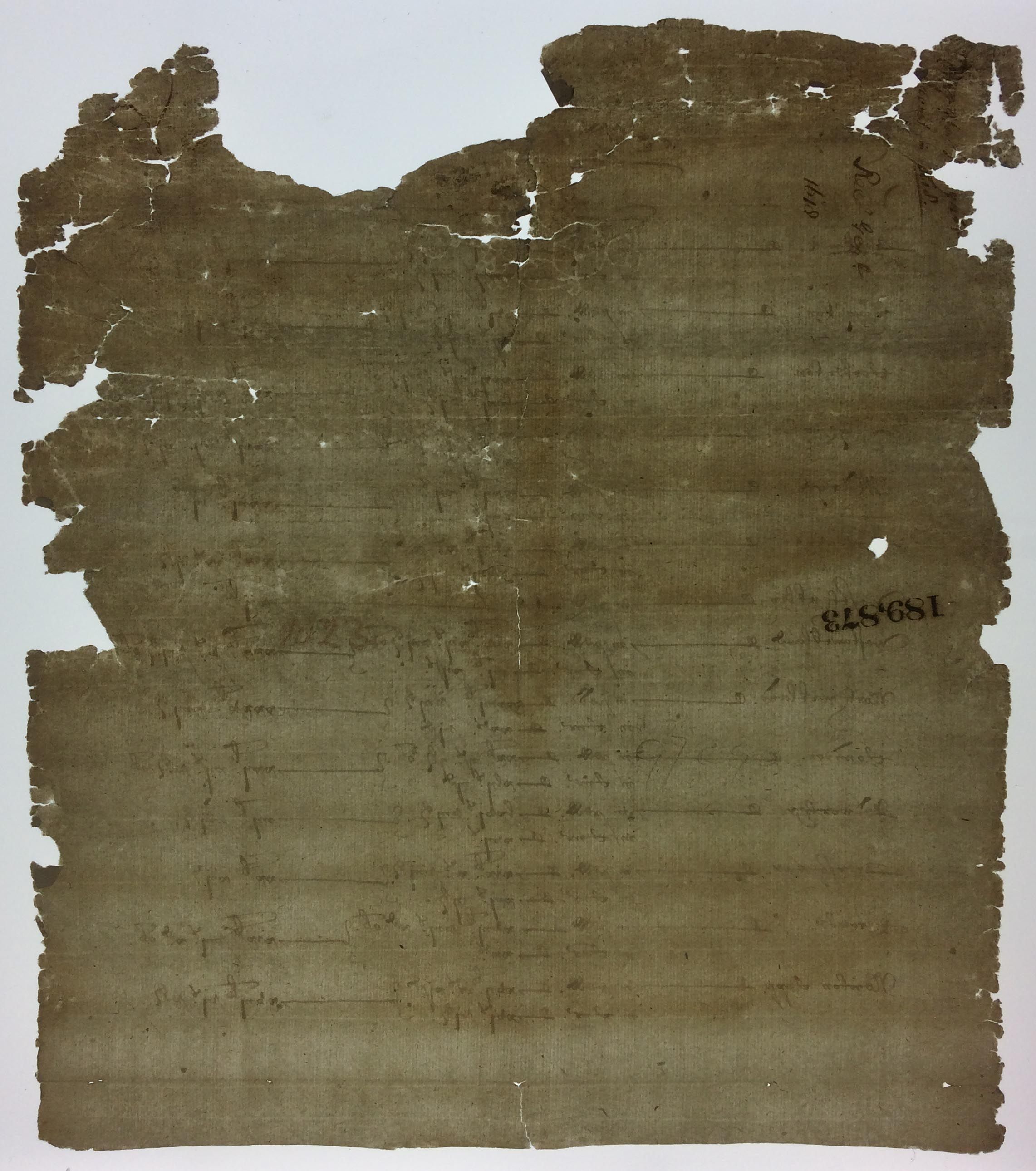 Paper document during conservation