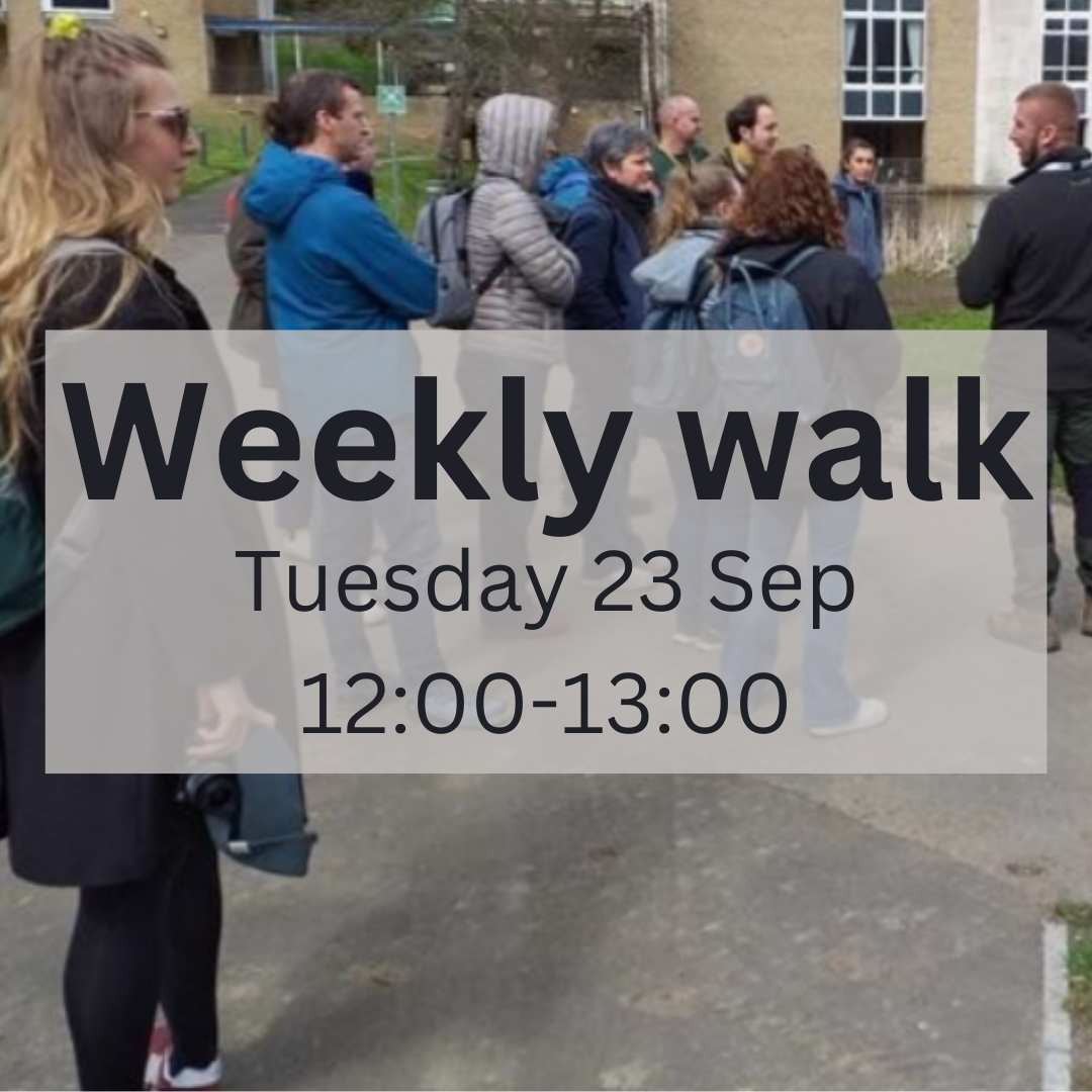 Weekly walks 23 Sept 2025