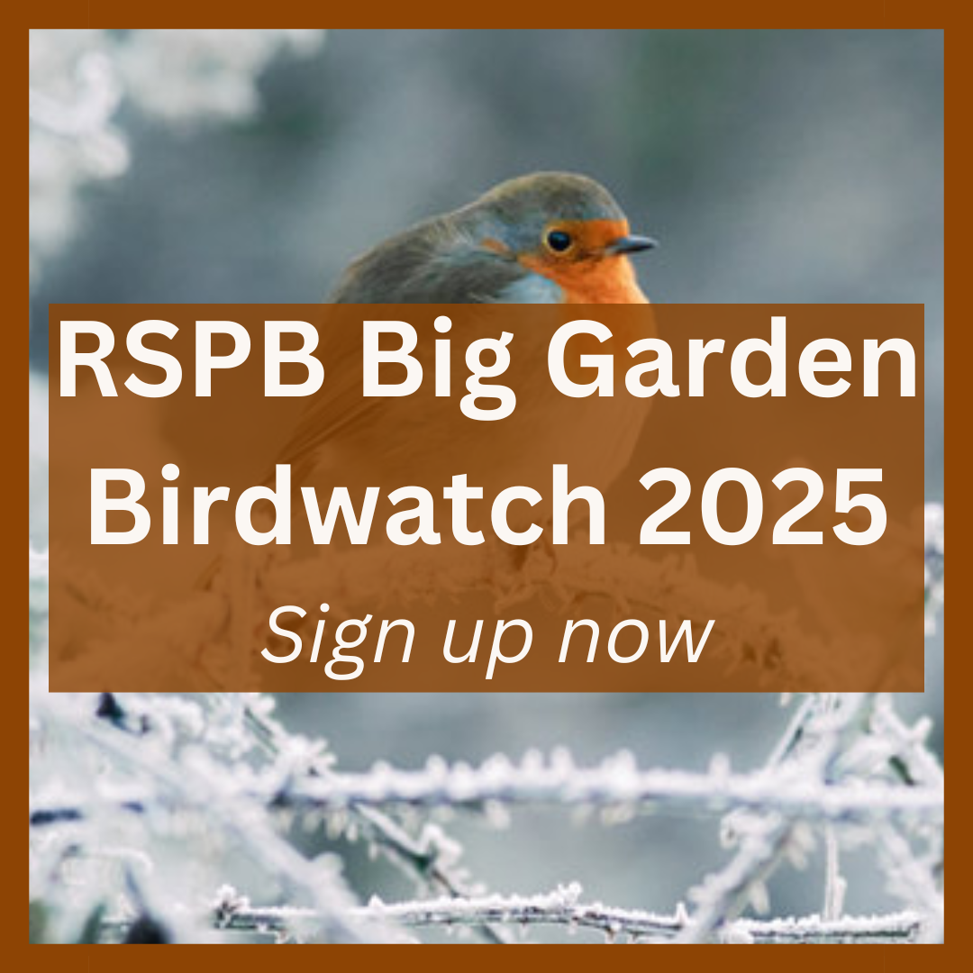 RSPB Big Garden Birdwatch 2025