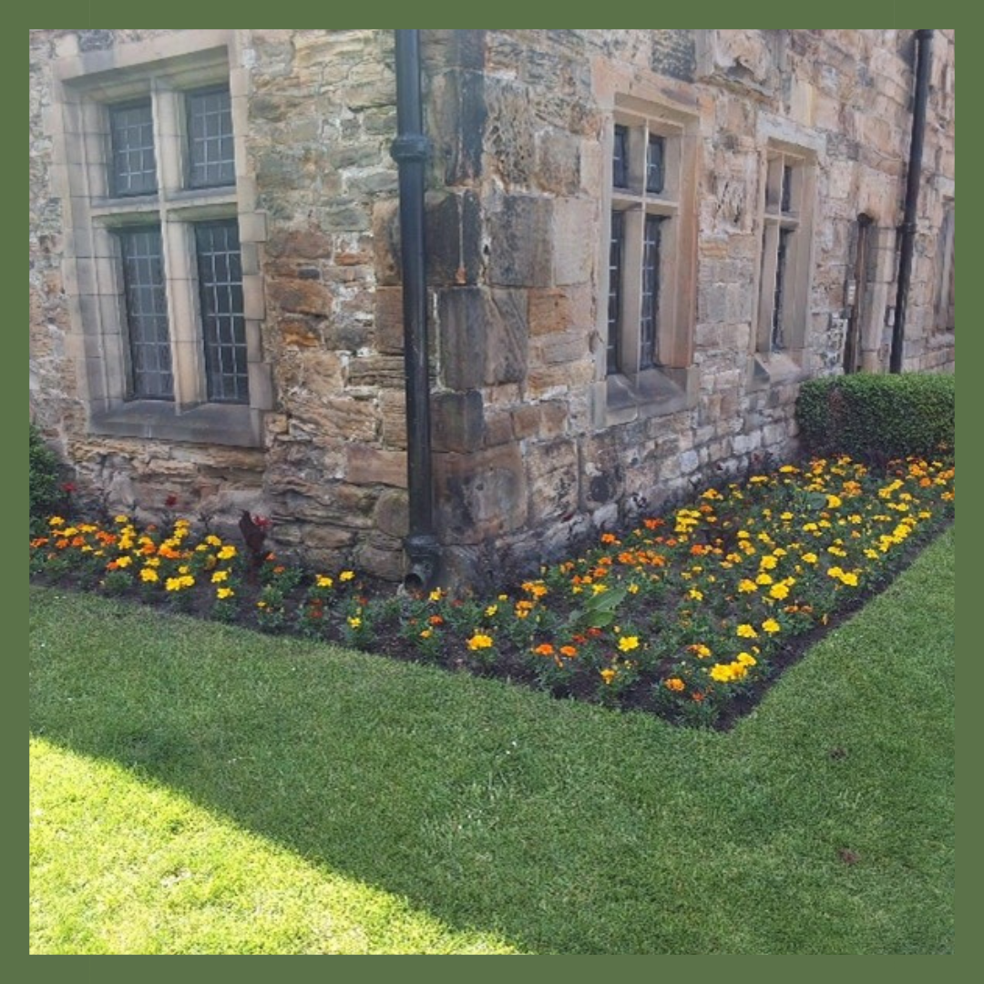 Summer bedding planting by Grounds Maintenance