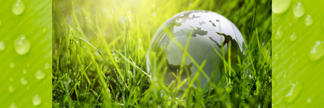 A glass globe of the planet Earth surrounded by green grass